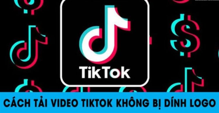 down video trên TikTok
