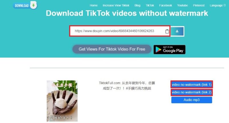 TikTok video downloader