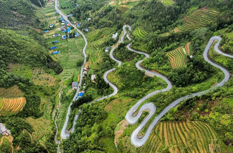 Sắc hồng lãng mạn của những cánh đồng hoa tam giác mạch phủ kín cao nguyên đá Hà Giang.