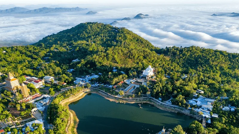 Vẻ đẹp thanh bình của rừng tràm Trà Sư bồng bềnh trong mùa nước nổi An Giang.
